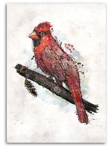 Obraz na plátne Vták z kvetov - Barrett Biggers Rozmery: 40 x 60 cm