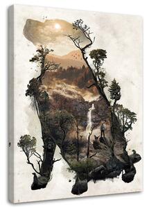 Obraz na plátne Pes a cesta lesom - Barrett Biggers Rozmery: 40 x 60 cm