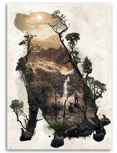 Obraz na plátne Pes a cesta lesom - Barrett Biggers Rozmery: 40 x 60 cm