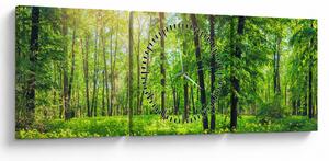 Obraz - Jarný listnatý les (s hodinami) (90x30 cm)
