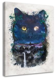 Obraz na plátne Čierna mačka v noci - Barrett Biggers Rozmery: 40 x 60 cm