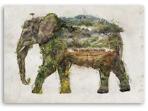 Obraz na plátne Slon a expedícia - Barrett Biggers Rozmery: 60 x 40 cm