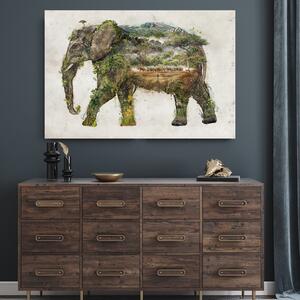 Obraz na plátne Slon a expedícia - Barrett Biggers Rozmery: 60 x 40 cm
