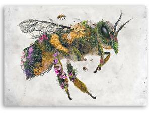 Obraz na plátne Kvetinová včela - Barrett Biggers Rozmery: 60 x 40 cm
