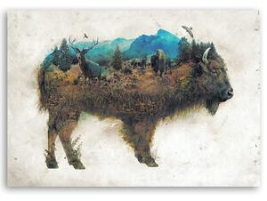 Obraz na plátne Bizóny a čistinka - Barrett Biggers Rozmery: 60 x 40 cm