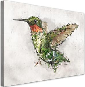 Obraz na plátne Kolibrík a čarovný les - Barrett Biggers Rozmery: 60 x 40 cm
