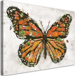 Obraz na plátne Motýľ a magické krídla - Barrett Biggers Rozmery: 60 x 40 cm