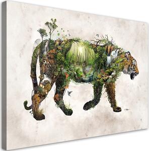 Obraz na plátne Tiger a spomienky - Barrett Biggers Rozmery: 60 x 40 cm