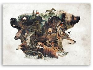 Obraz na plátne Lesná zver - Barrett Biggers Rozmery: 60 x 40 cm