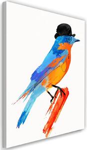 Obraz na plátne Farebný vták v klobúku - Robert Farkas Rozmery: 40 x 60 cm
