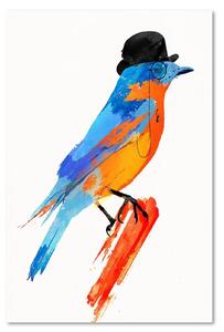 Obraz na plátne Farebný vták v klobúku - Robert Farkas Rozmery: 40 x 60 cm