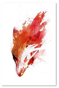 Obraz na plátne Červeno-oranžová líška - Robert Farkas Rozmery: 40 x 60 cm