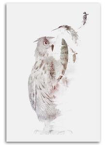Obraz na plátne Lietajúca sova - Robert Farkas Rozmery: 40 x 60 cm