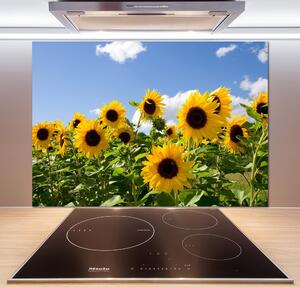 Dekoračný panel sklo Slnečníky pl-pksh-100x70-f-43441977