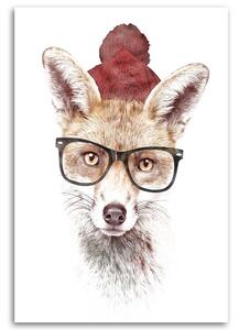 Obraz na plátne Líška v okuliaroch - Robert Farkas Rozmery: 40 x 60 cm