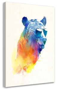Obraz na plátne Medveď v okuliaroch - Robert Farkas Rozmery: 40 x 60 cm