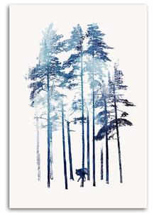 Obraz na plátne Vlk v zime - Robert Farkas Rozmery: 40 x 60 cm