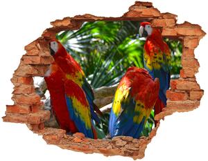 Nálepka 3D diera na stenu Papagáje ara nd-c-101702658