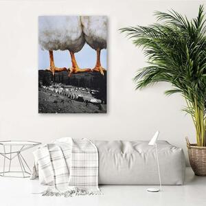 Obraz na plátne Sliepky stojace na horách - Lili Chartrand Rozmery: 40 x 60 cm