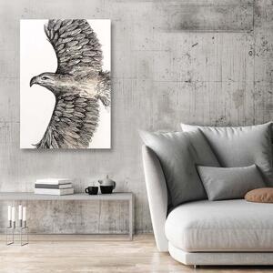 Obraz na plátne Náčrt lietajúceho orla - Jan Perit Kablan Rozmery: 40 x 60 cm