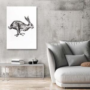 Obraz na plátne Zajac na úteku - Jan Perit Kablan Rozmery: 40 x 60 cm