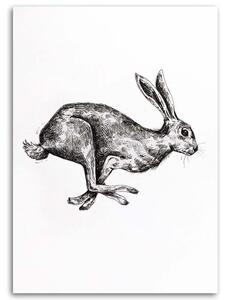 Obraz na plátne Zajac na úteku - Jan Perit Kablan Rozmery: 40 x 60 cm