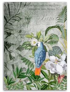 Obraz na plátne Vtáčie kráľovstvo - Andrea Haase Rozmery: 40 x 60 cm