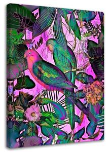 Obraz na plátne Tropické farebné vtáky - Andrea Haase Rozmery: 40 x 60 cm