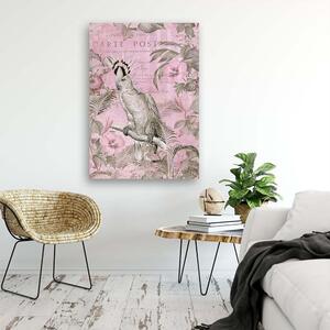 Obraz na plátne Ružový vták kakadu - Andrea Haase Rozmery: 40 x 60 cm