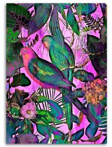 Obraz na plátne Tropické farebné vtáky - Andrea Haase Rozmery: 40 x 60 cm