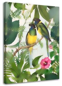 Obraz na plátne Vtáky v džungli 2 - Andrea Haase Rozmery: 40 x 60 cm