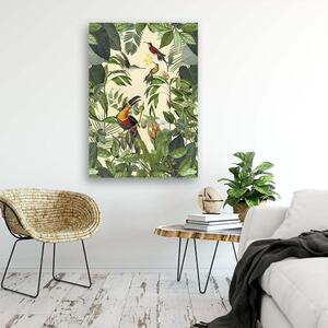 Obraz na plátne Tropický tukan - Andrea Haase Rozmery: 40 x 60 cm