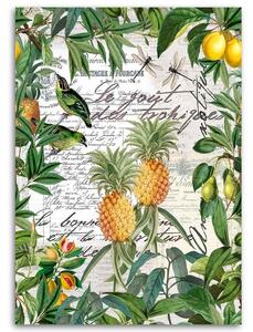 Obraz na plátne Tropické ovocie a kaligrafia - Andrea Haase Rozmery: 40 x 60 cm