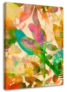 Obraz na plátne Tropické vtáky 2 - Andrea Haase Rozmery: 40 x 60 cm