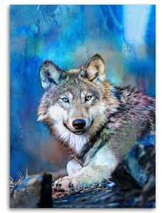 Obraz na plátne Vlk na pozadí oblohy - Andrea Haase Rozmery: 40 x 60 cm