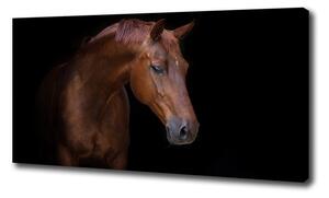 Foto obraz na plátne do obývačky Hnedý kôň