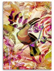 Obraz na plátne Tropicky sfarbený tukan - Andrea Haase Rozmery: 40 x 60 cm
