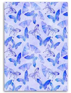 Obraz na plátne Modré motýle - Andrea Haase Rozmery: 40 x 60 cm