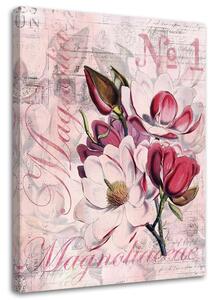 Obraz na plátne Magnólie na ružovom pergamene - Andrea Haase Rozmery: 40 x 60 cm