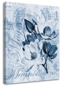 Obraz na plátne Magnólie na modrom pergamene - Andrea Haase Rozmery: 40 x 60 cm