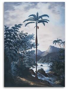Obraz na plátne Palma v džungli - Andrea Haase Rozmery: 40 x 60 cm