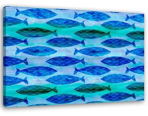 Obraz na plátne Húf modrých rýb - Andrea Haase Rozmery: 60 x 40 cm