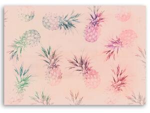 Obraz na plátne Ružové ananásy - Andrea Haase Rozmery: 60 x 40 cm