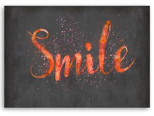 Obraz na plátne Oranžový znak Smile - Andrea Haase Rozmery: 60 x 40 cm