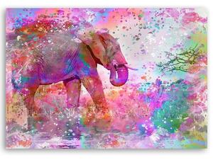 Obraz na plátne Farebný slon - Andrea Haase Rozmery: 60 x 40 cm