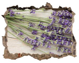 Samolepící nálepka Lavender v hrnci nd-k-114001511