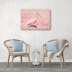 Obraz na plátne Pelikán na ružovom pozadí - Andrea Haase Rozmery: 60 x 40 cm
