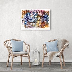 Obraz na plátne Dve farebné zebry - Andrea Haase Rozmery: 60 x 40 cm