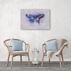 Obraz na plátne Abstraktný motýľ - Andrea Haase Rozmery: 60 x 40 cm