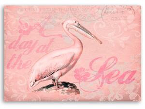 Obraz na plátne Pelikán na ružovom pozadí - Andrea Haase Rozmery: 60 x 40 cm